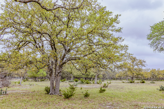 Image 37 of 46 For Tbd Sattler Rd