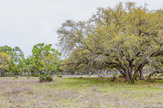 Image 38 of 46 For Tbd Sattler Rd