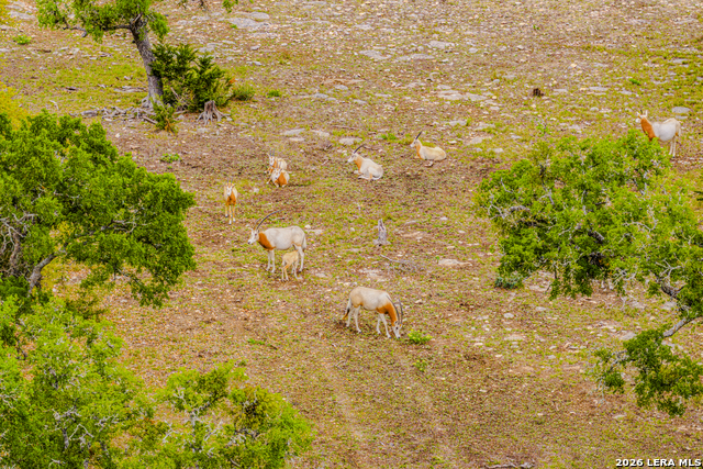 Image 40 of 46 For Tbd Sattler Rd