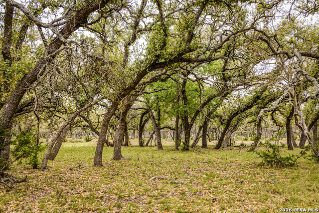 Image 43 of 46 For Tbd Sattler Rd