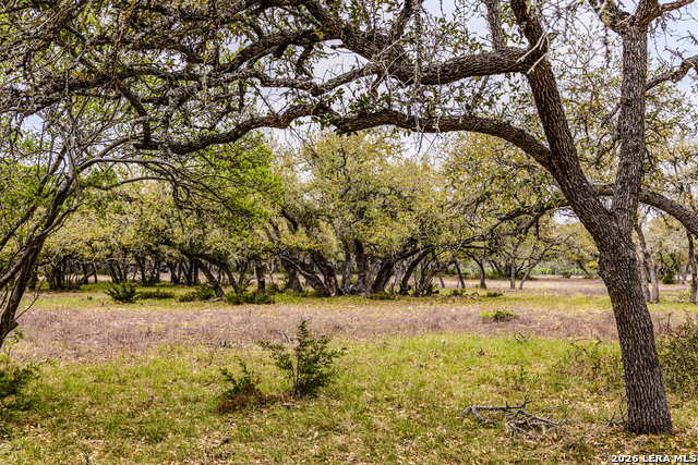 Image 44 of 46 For Tbd Sattler Rd