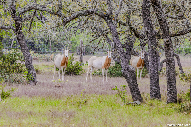 Image 45 of 46 For Tbd Sattler Rd