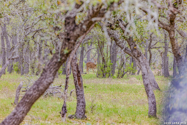 Image 46 of 46 For Tbd Sattler Rd