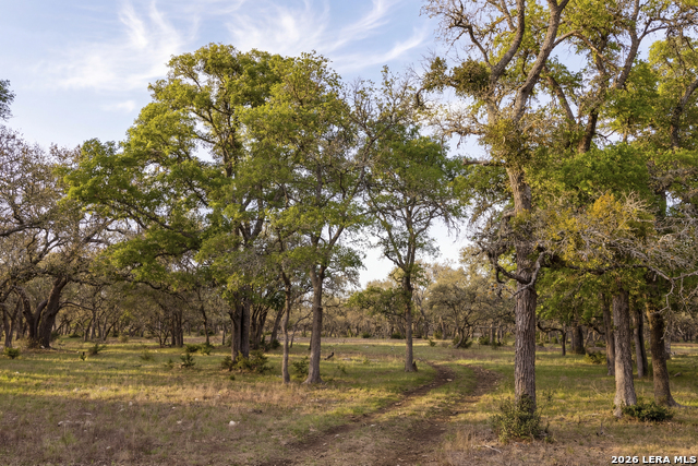 Image 5 of 46 For Tbd Sattler Rd