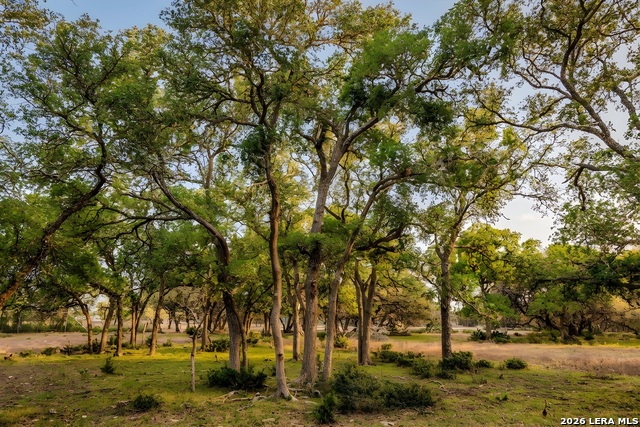 Image 9 of 46 For Tbd Sattler Rd