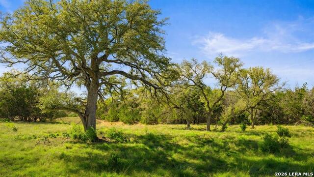Image 10 of 24 For 0 Lone Star Oak Ranch