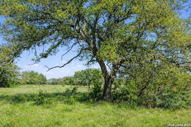 Image 4 of 24 For 0 Lone Star Oak Ranch