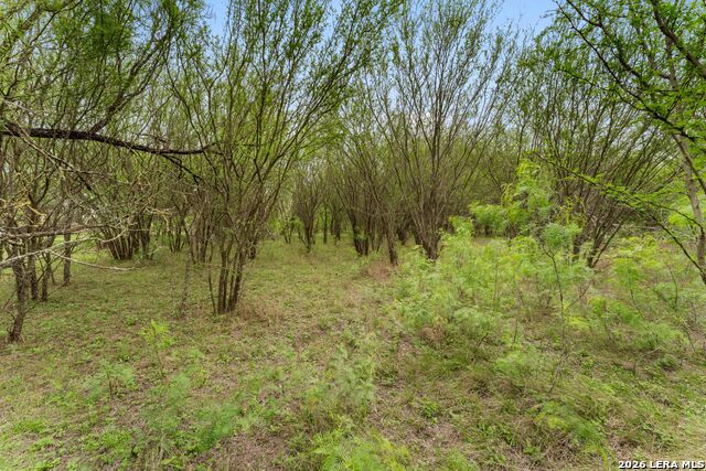 Image 20 of 25 For 17272 Fm 463