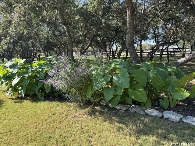 Image 58 of 69 For 309 Lost Oaks Dr