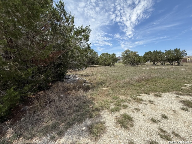 Image 6 of 6 For 523 Stars And Stripes