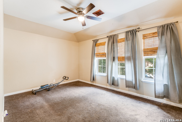 Image 21 of 25 For 1643 Bold Cypress