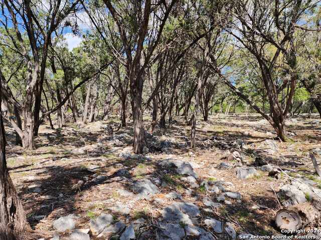 Image 11 of 17 For Lot 18-19 Forest Lake Dr