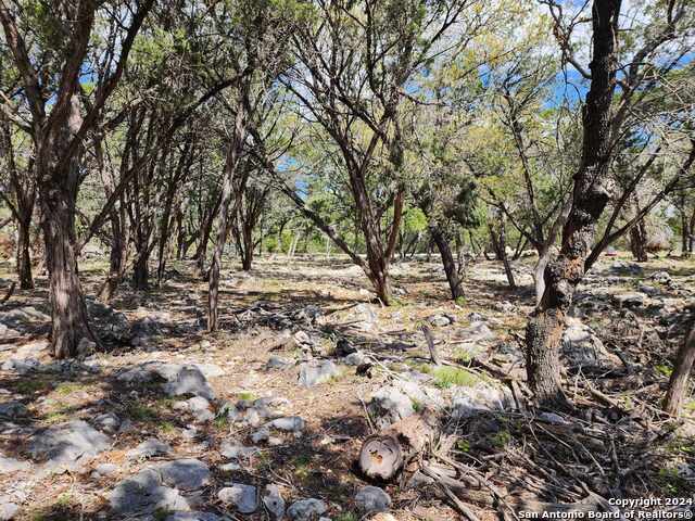 Image 15 of 17 For Lot 18-19 Forest Lake Dr