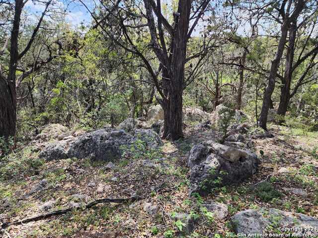 Image 6 of 17 For Lot 18-19 Forest Lake Dr