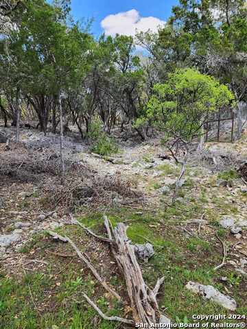 Image 7 of 17 For Lot 18-19 Forest Lake Dr