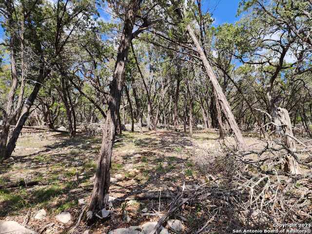 Image 8 of 17 For Lot 18-19 Forest Lake Dr