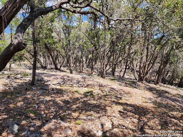 Image 9 of 17 For Lot 18-19 Forest Lake Dr