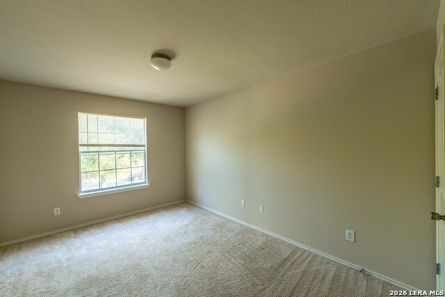 Image 13 of 20 For 4919 Celtic Cor