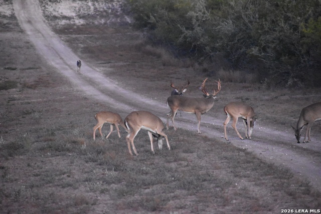 Listing photo id 39 for 208 Well Pad Rd