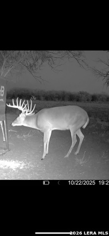 Listing photo id 40 for 208 Well Pad Rd