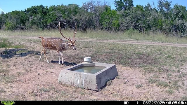 Listing photo id 42 for 208 Well Pad Rd