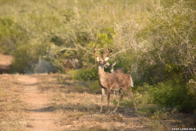 Listing photo id 43 for 208 Well Pad Rd