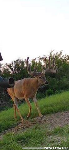 Listing photo id 44 for 208 Well Pad Rd