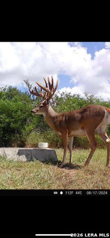 Listing photo id 45 for 208 Well Pad Rd