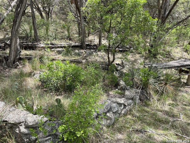 Image 10 of 21 For Lots 11&12 Elm Cove