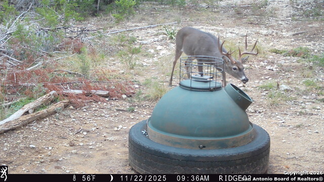 Listing photo id 17 for 1515 Old Boerne Rd