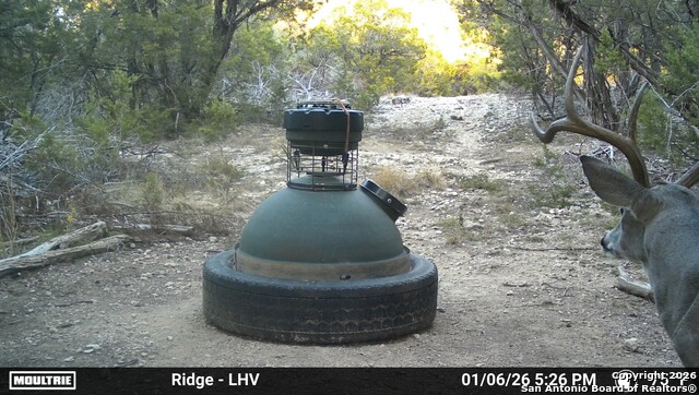 Listing photo id 18 for 1515 Old Boerne Rd