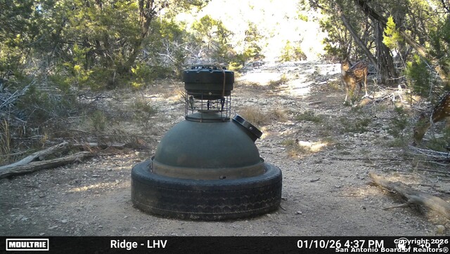 Listing photo id 19 for 1515 Old Boerne Rd