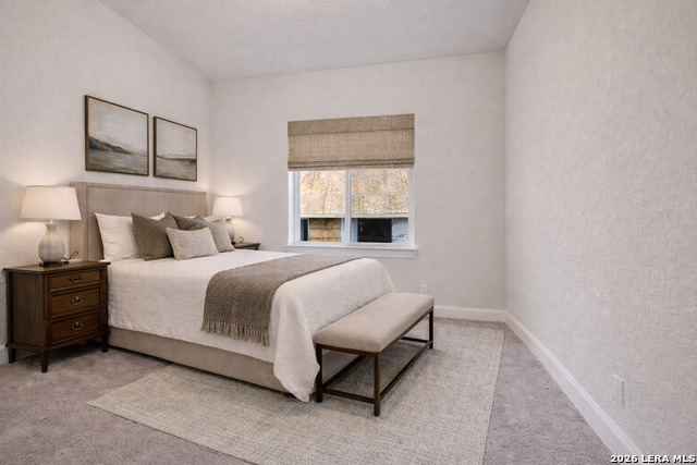 Image 11 of 17 For 1312 Spotted Jaguar