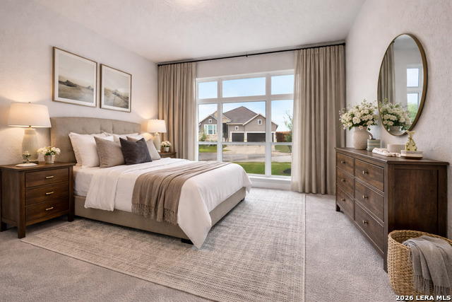 Image 9 of 17 For 1312 Spotted Jaguar