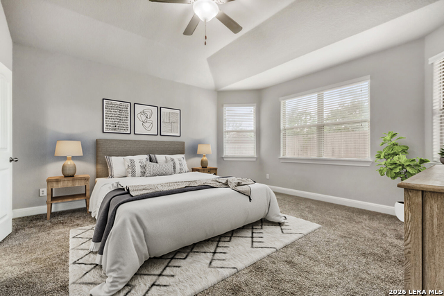 Image 12 of 31 For 1739 Finland Palm