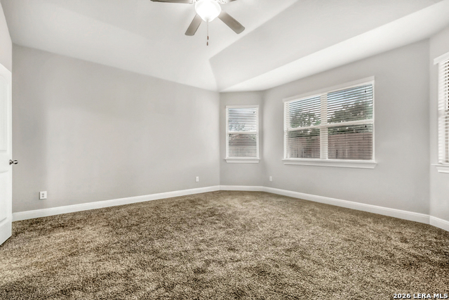 Image 13 of 31 For 1739 Finland Palm