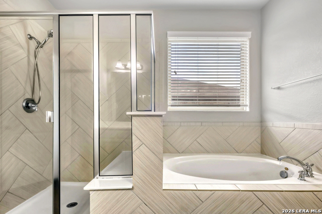 Image 15 of 31 For 1739 Finland Palm