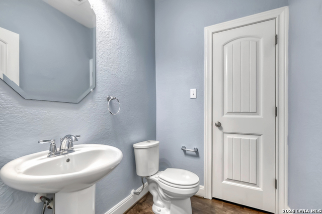 Image 16 of 31 For 1739 Finland Palm