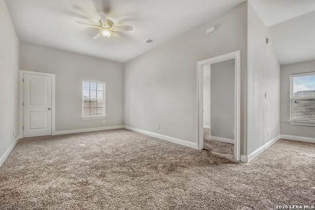 Image 19 of 31 For 1739 Finland Palm