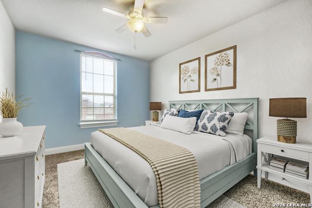 Image 20 of 31 For 1739 Finland Palm