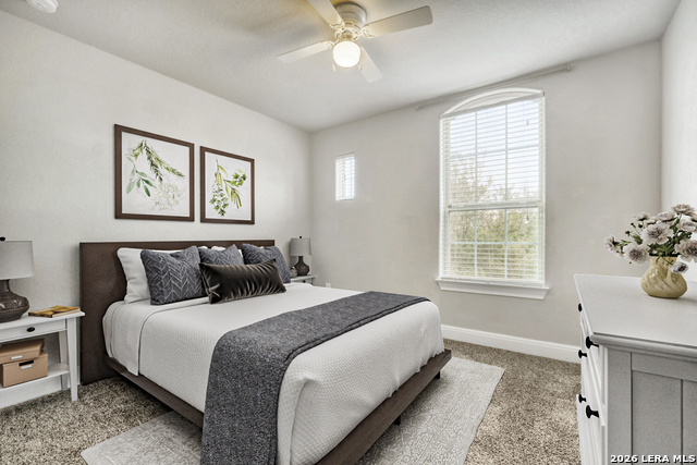 Image 23 of 31 For 1739 Finland Palm