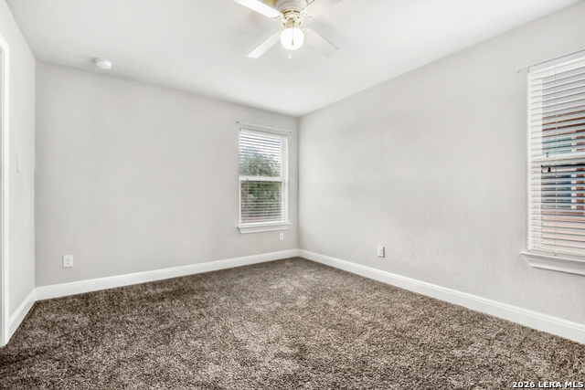 Image 25 of 31 For 1739 Finland Palm