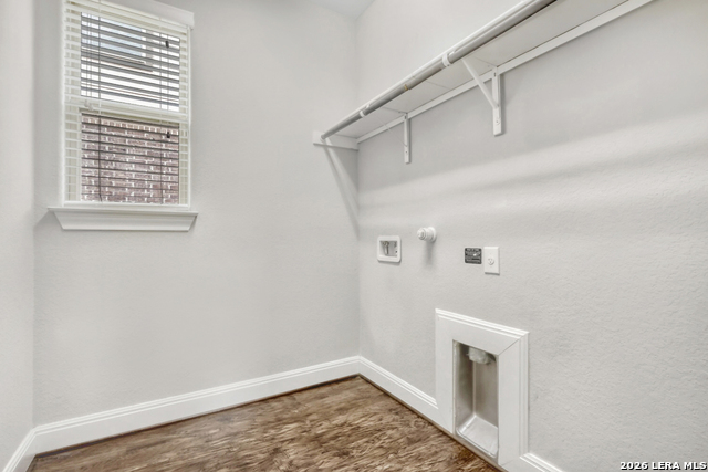 Image 27 of 31 For 1739 Finland Palm