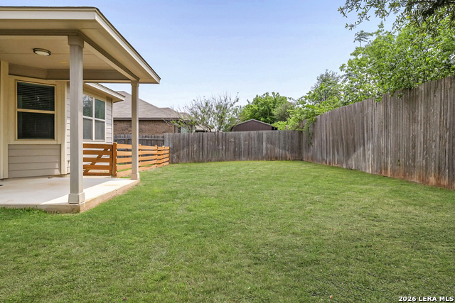 Image 28 of 31 For 1739 Finland Palm