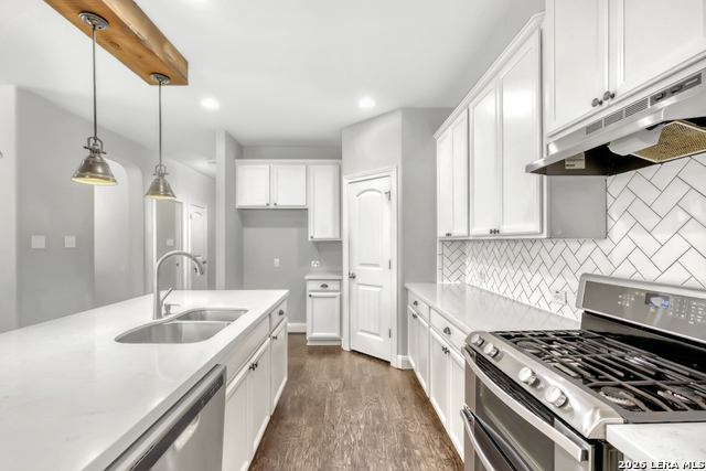 Image 9 of 31 For 1739 Finland Palm