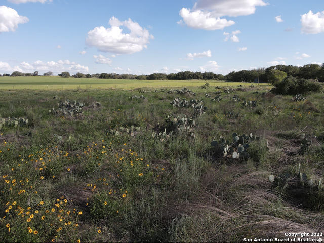 Image 11 of 26 For Tbd Tract 6 Pr Two A Ln