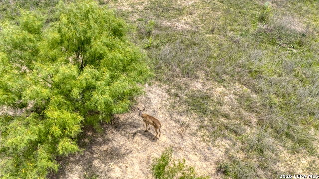 Image 45 of 50 For 1021 Wells  