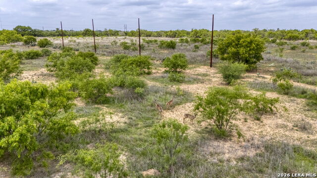 Image 46 of 50 For 1021 Wells  