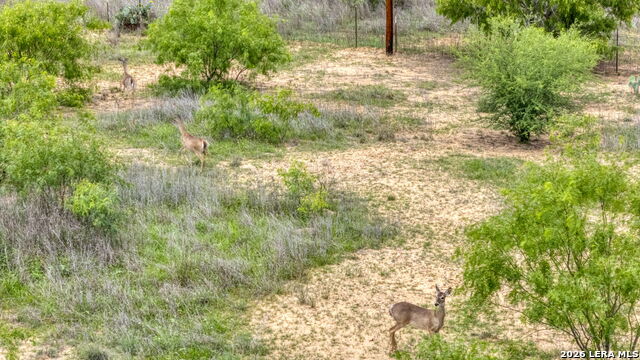 Image 47 of 50 For 1021 Wells  