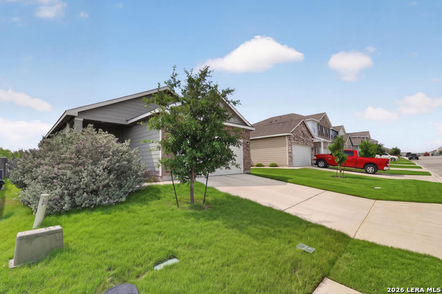 Image 2 of 22 For 12866 Cygnus